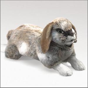Holland Lop Rabbit Hand Puppet/17740-칭찬나라큰나라