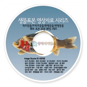 척추/무척추동물,환영동물, 편형동물 해부표본(25종 CD)-칭찬나라큰나라