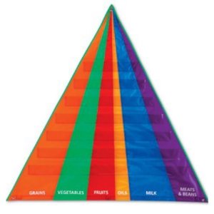영어차트,러닝리소스,특가상품 [EDU2494]음식 피라미드 포켓차트 / Food Pyramid Pocket Chart with Cards-칭찬나라큰나라