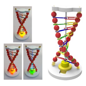 뉴 LED DNA 조명등 만들기-칭찬나라큰나라